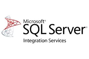 Logo - Microsoft SQL Server Integration